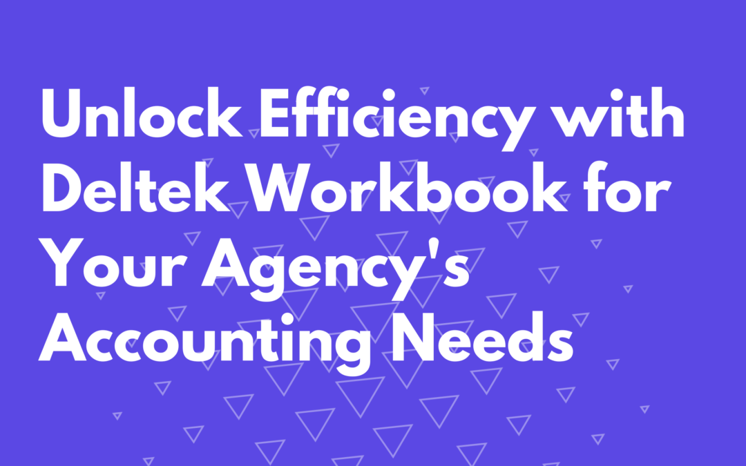 Unlock Efficiency with Deltek Workbook for Your Agency’s Accounting Needs